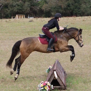 Meet your Posher, Bre